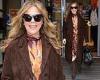 Saturday 26 November 2022 04:53 PM Rita Wilson wraps up in brown suede coat and snazzy orange dress as she ... trends now