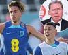 sport news Harry Redknapp urges England's Gareth Southgate to find space for both Phil ... trends now