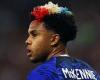 sport news Weston McKennie hails the fearlessness of the US squad as they progress to the ... trends now