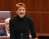 Pauline Hanson SHRIEKS at rugby star turned MP David Pocock - giving him a rude ... trends now