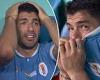 sport news Luis Suarez IN TEARS after Hawng Hee-Chan's late strike for South Korea against ... trends now