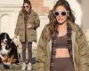 Ayda Williams flashes her toned abs during a dog walk in London trends now