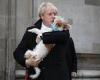 Boris Johnson was convinced his dog Dilyn caught Covid and consulted the UK's ... trends now