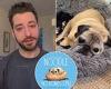 TikTok dog Noodle the Pug dies: Tearful owner announces sad news to pup's ... trends now