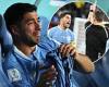 sport news Luis Suarez breaks silence as he leaps to the defence of his Uruguay side trends now