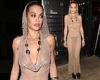 Rita Ora leaves little to the imagination in a see-through dress trends now