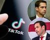 Bipartisan politicians and experts speak out against TikTok claiming it ... trends now