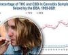 The potency of street cannabis has jumped from 4% to more than 15% since the ... trends now