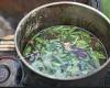Prescription ayahuasca could come in the next decade as Canadian company sets ... trends now