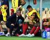 sport news Ex-Man United assistant Rene Meulensteen praises Portugal manager's handling of ... trends now