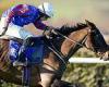 sport news Robin Goodfellow's racing tips: Best bets for Friday, December 9 trends now