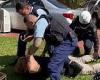 NSW cop repeatedly smacks man with a baton during violent arrest in Chester ... trends now