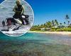 Woman vanishes after going snorkeling with husband in Hawaii - who claims he ... trends now