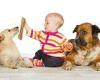 Paw-some! Owning a dog may cut risk of children getting eczema, study suggests trends now