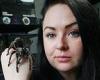 Meet the Mother of Tarantulas who owns hundreds of creepy crawlies trends now