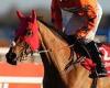 sport news Paul Nicholls insists it's wrong to doubt Bravemansgame's Gold Cup credentials trends now
