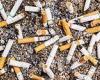 Tobacco firms will be forced to pay for cleaning up millions of discarded ... trends now