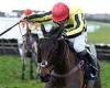 sport news Robin Goodfellow's racing tips: Best bets for Thursday, January 5 trends now