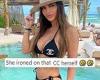 Teresa Giudice is accused of wearing a fake designer swimsuit while vacationing ... trends now
