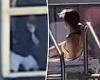 Prisoners holler at bikini-clad women sunbathing at rooftop pool trends now