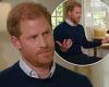 Fans react to Prince Harry's bombshell Tom Bradby interview branding it ... trends now