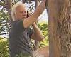 Currumbin, Gold Coast: Aussie bloke, 70, refuses to come down from tree over ... trends now