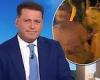 Michael Clarke, Jade Yarbrough video: Karl Stefanovic brushes off melee on Today trends now