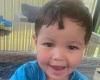 Funeral held for 'cheeky' Isaac Powell, 3, after toddler drowned in neighbour's ... trends now