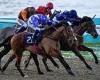 sport news Robin Goodfellow's racing tips: Best bets for Saturday, January 21 trends now