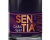 Does SENTIA actually work? The alcohol free drink that promises to get you drunk trends now