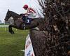 sport news Robin Goodfellow's racing tips: Best bets for Saturday, January 28 trends now