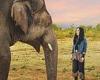 The world's loneliest elephant was forced to live in solitude for eight years ... trends now