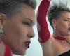 Pink drops new music video for single Trustfall as she embarks on tour trends now