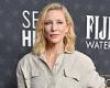 Cate Blanchett's plans to install 90 solar panels at her £5million Sussex ... trends now