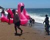 Stanwell Park Beach rescue as pink flamingo inflatable drifts near rocks but ... trends now