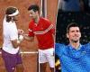 sport news Coach explains how Novak Djokovic smashed Stefanos Tsitsipas psychologically ... trends now