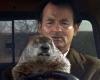 I watched Groundhog Day every day for a year. Here's what happened