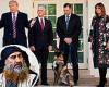 Melania Trump took central role in al-Baghdadi killing trends now