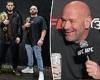 sport news UFC boss Dana White forgets Islam Makhachev's name before UFC 284 fight against ... trends now