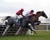 sport news Robin Goodfellow's racing tips: Best bets for Monday, February 6 trends now