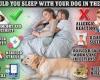 The health pros and cons of sharing a bed with your dog trends now