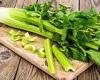 Chances of recovering from a stroke boosted by drug made from celery seeds: ... trends now