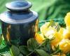 Green alternatives to burial and cremation could be on the way  trends now