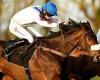 sport news Robin Goodfellow's racing tips: Best bets for Friday, February 10 trends now