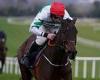 sport news Robin Goodfellow's racing tips: Best bets for Monday, February 13 trends now