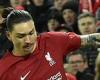 sport news Liverpool 2-0 Everton PLAYER RATINGS: Darwin Nunez shows his quality trends now