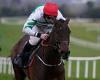 sport news Robin Goodfellow's racing tips: Best bets for Tuesday, February 21 trends now