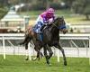 sport news Robin Goodfellow's racing tips: Best bets for Tuesday, March 7 trends now