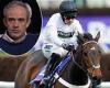 sport news Ruby Walsh claims Champion Hurdle favourite Constitution Hill 'holds all the ... trends now