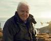 David Attenborough kept away from chicks while filming after expert warned ... trends now